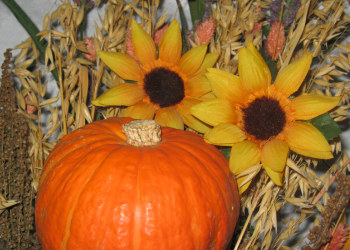 pumpkin carving